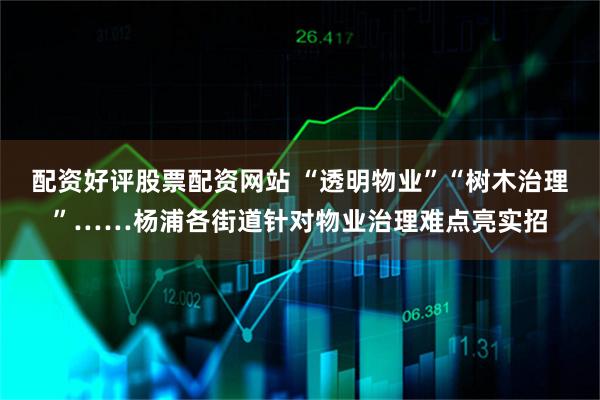 配资好评股票配资网站 “透明物业”“树木治理”……杨浦各街道针对物业治理难点亮实招