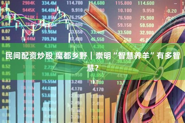 民间配资炒股 魔都乡野｜崇明“智慧养羊”有多智慧？