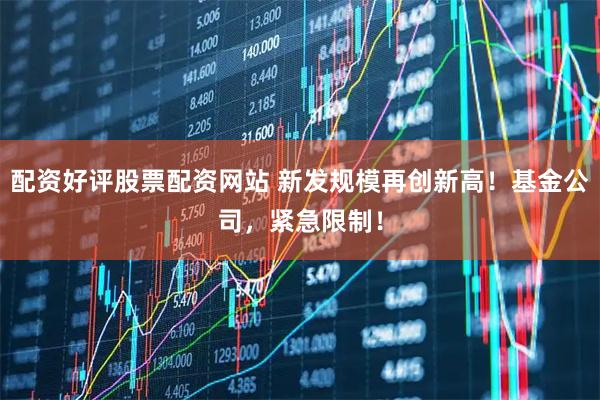 配资好评股票配资网站 新发规模再创新高！基金公司，紧急限制！