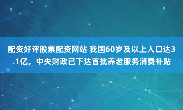 配资好评股票配资网站 我国60岁及以上人口达3.1亿,中央财政已下达首批养老服务消费补贴