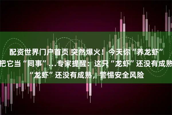 配资世界门户首页 突然爆火！今天你“养龙虾”了吗？有人已经把它当“同事”…专家提醒：这只“龙虾”还没有成熟，警惕安全风险