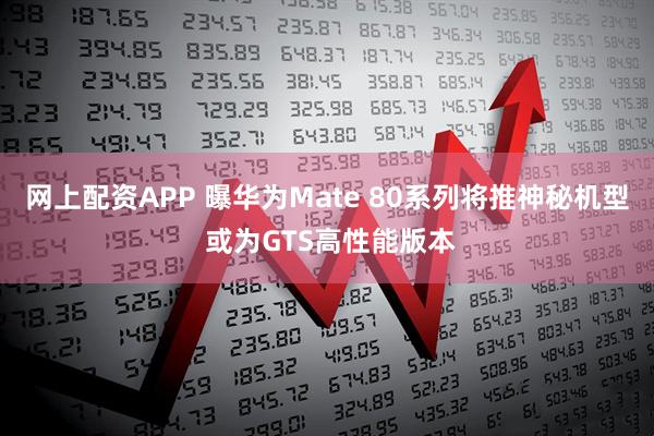 网上配资APP 曝华为Mate 80系列将推神秘机型 或为GTS高性能版本
